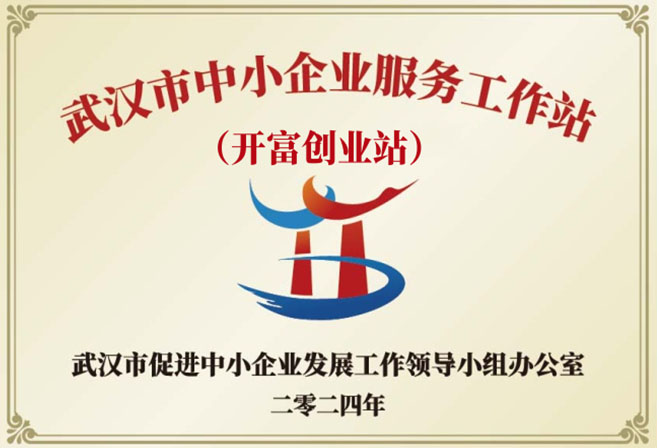 颁发武汉市中小企业服务工作站